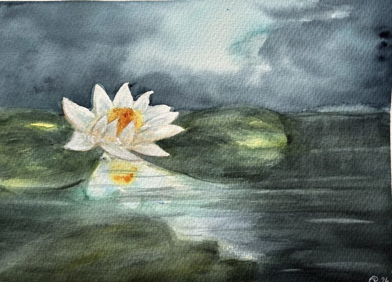 Bild med titel: Där näckrosen blommar